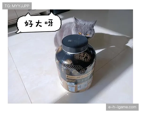 萨卡家的冰箱里居然塞满了蛋白粉，连瓶可乐都找不到